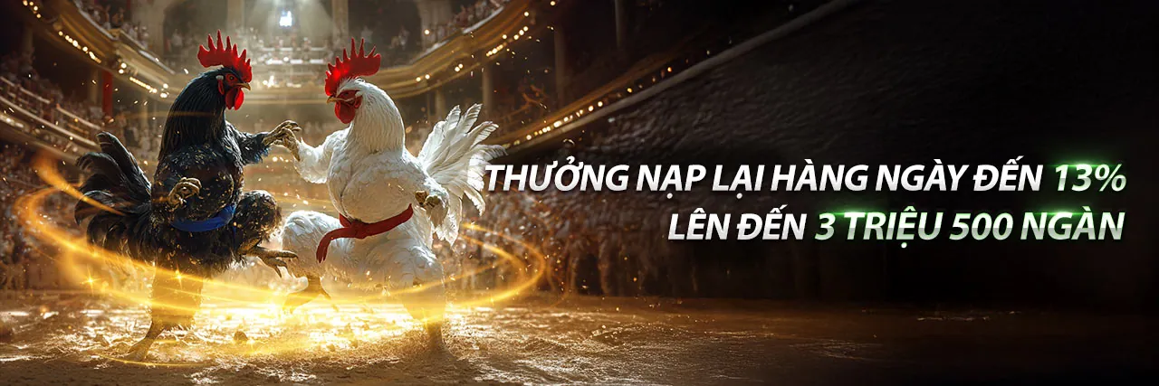 Sảnh đá gà trực tuyến sôi động tại 100win