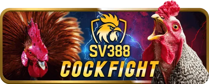 Cá cược thể thao 100win